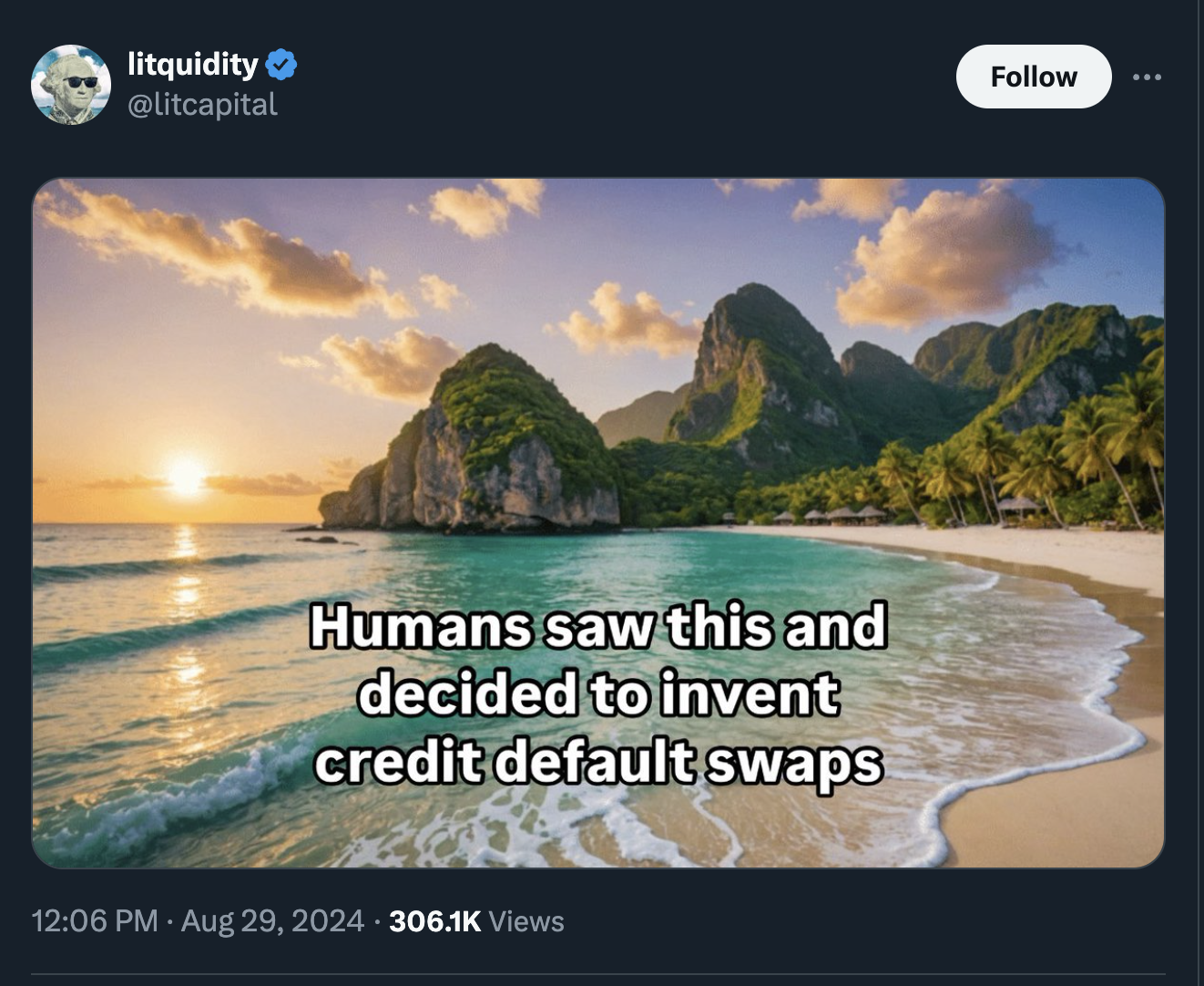 beach - litquidity Humans saw this and decided to invent credit default swaps Views